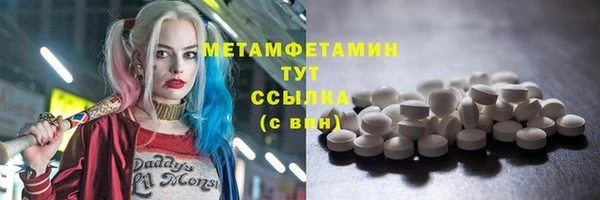 ГАЛЛЮЦИНОГЕННЫЕ ГРИБЫ Вяземский