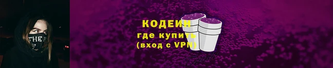 ГАЛЛЮЦИНОГЕННЫЕ ГРИБЫ Вяземский