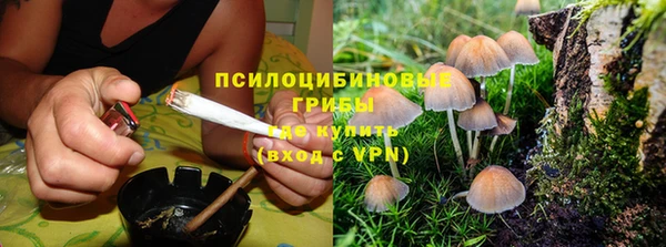 ГАЛЛЮЦИНОГЕННЫЕ ГРИБЫ Вяземский