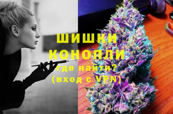 ГАЛЛЮЦИНОГЕННЫЕ ГРИБЫ Вяземский