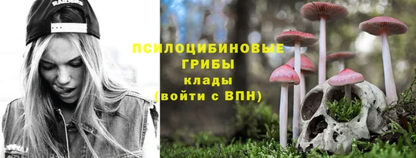 ГАЛЛЮЦИНОГЕННЫЕ ГРИБЫ Вяземский