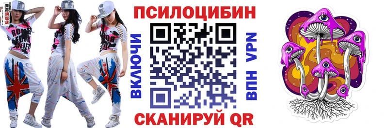 купить наркотики сайты  Артём  Псилоцибиновые грибы GOLDEN TEACHER 